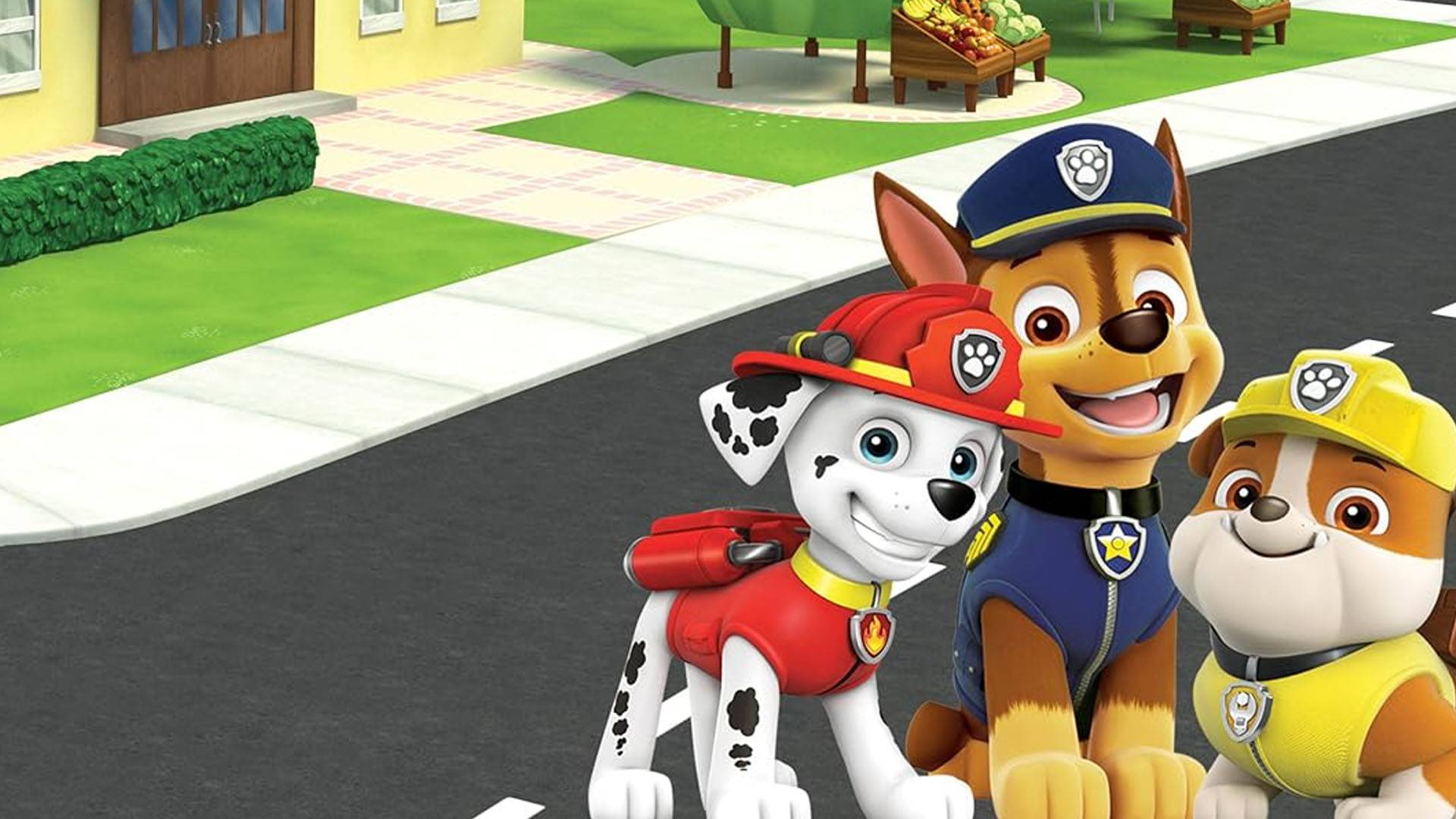 Paw Patrol Sezon 3